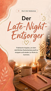 Cover des odf Late Night Entsorger