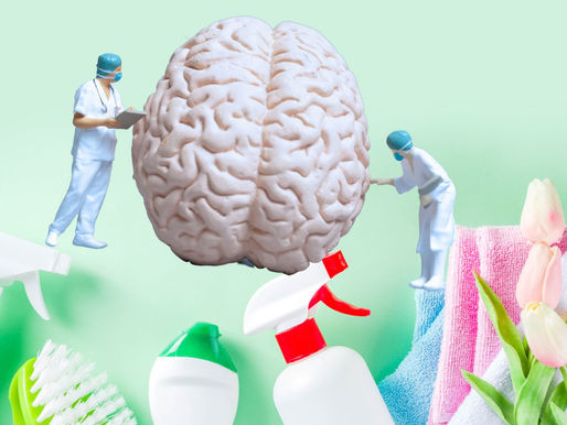 zwei Ärzte untersuchen ein Gehirn, das auf einem grünen Tuch liegt, zusammen mit Reinigungsmaterial