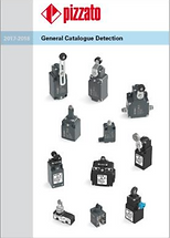 General Catalogue Detection.png