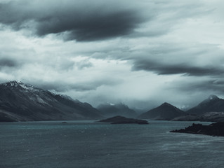 BECOMING MORE RESILIENT BECAUSE OF A CRISIS
