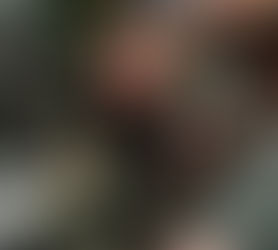 La Françafrique N’est Plus: The Impact of France's Diminishing Role in sub-Saharan Africa