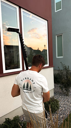 exterior window cleaning