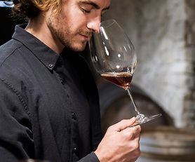 Book a wine tasting workshop! Discover local wines from the Hautes-Alpes (05) or explore France’s grape varieties with an expert sommelier.