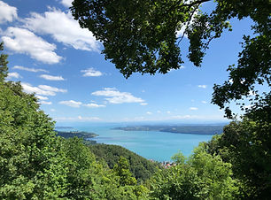 Foto 12.07.20, 15 19 30.jpg