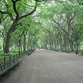 CentralPark1.jpg