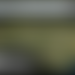 Forecast July 9th: Sunny skies followed by a risk of storms and heavy rainfall. 