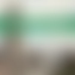 Cancelled Programs: GCI Fellowship and Seminar 2020