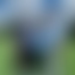 Greenwich, CT Patch Covers Successful Champion A Champion Golf Classic 9/20