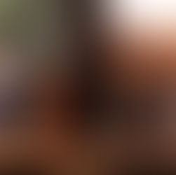 Ambassadors in the News