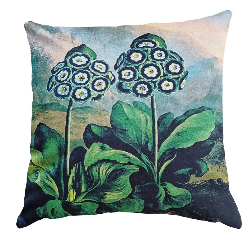 Cushion, Cushion Belles Fleurs Auriculas