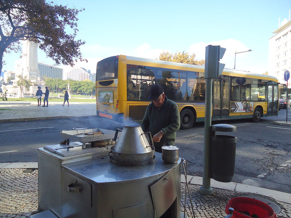 O Castanheiro na Praça Marquês de Pombal - Lisboa