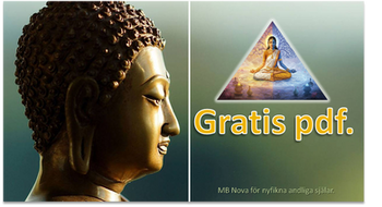 "Jag ska aldrig bli som mina föräldrar", sa du - och ändå kanske det blev just så. En blogg om karma och energimönster. Del 2