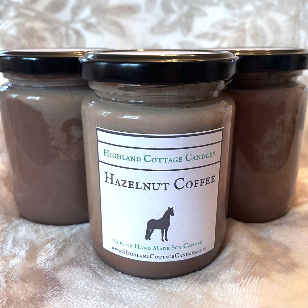 Hazelnut Coffee - FREE SHIPPING