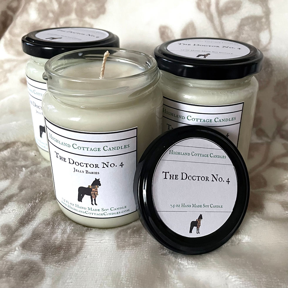 Thumbnail: The Doctor No. 4 - FREE SHIPPING