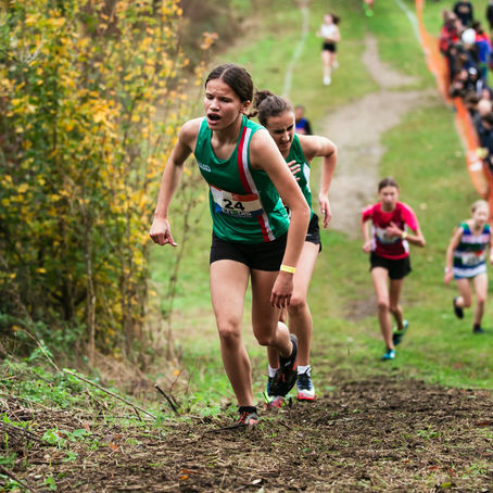 Les cross font leur grand retour