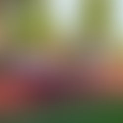 Une belle deuxième édition pour le meeting de Laon