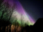 Photo of the purple and green aurora taken on May 10, 2024.