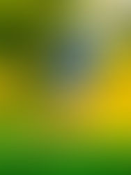 Mackenzie playing golf