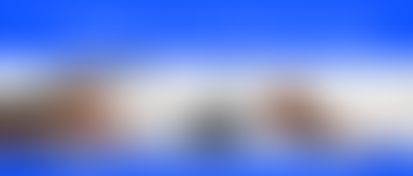 RECUPERE SU INMUEBLE Y SU DINERO