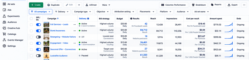 Meta Ads Manager dashboard showing campaign targeting, budgets and performance metrics