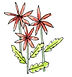 Red Flower.jpg