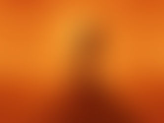 Not Meant to Stay the Same