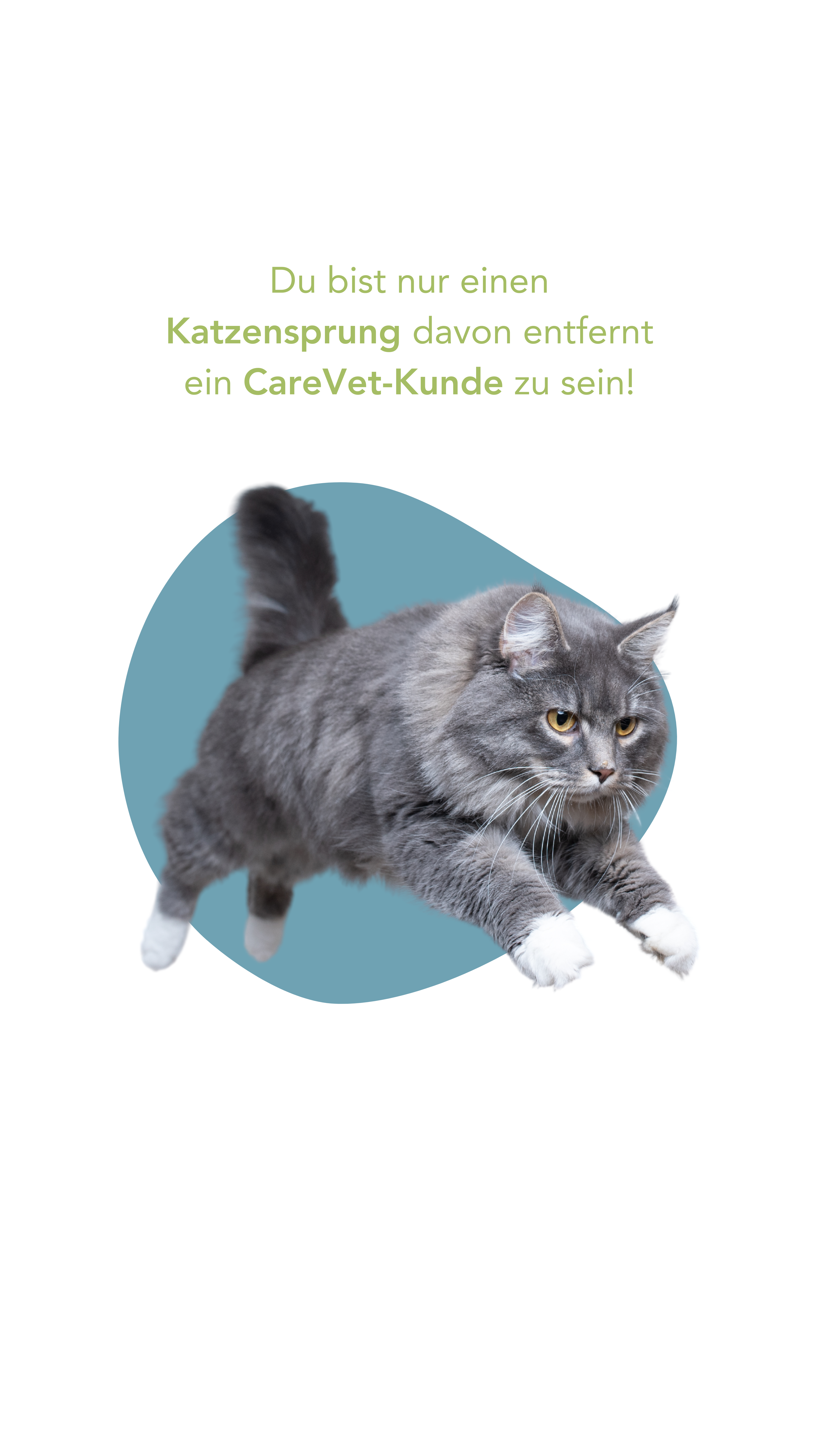 Katzensprung