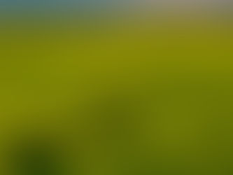 池上，不只是米的香味｜一日玩剛剛好