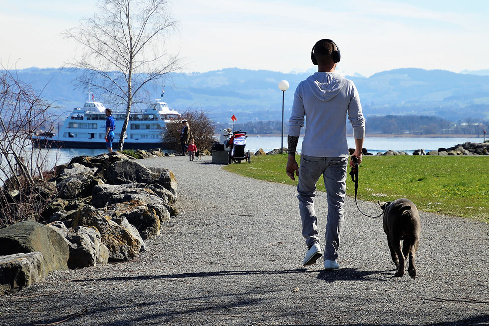 pet a passeggio con guinzaglio