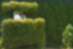 Wedding photography in Fallbrooks, California
