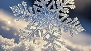 Intricately Formed and Fashioned