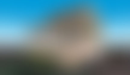 Presidentials Reading Room