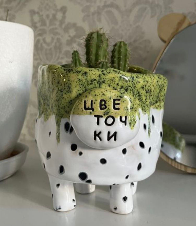 Забавное кашпо