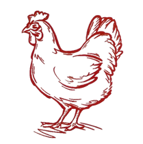 Joey Nine Links.PNG