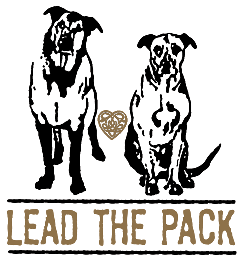 Lead The Pack