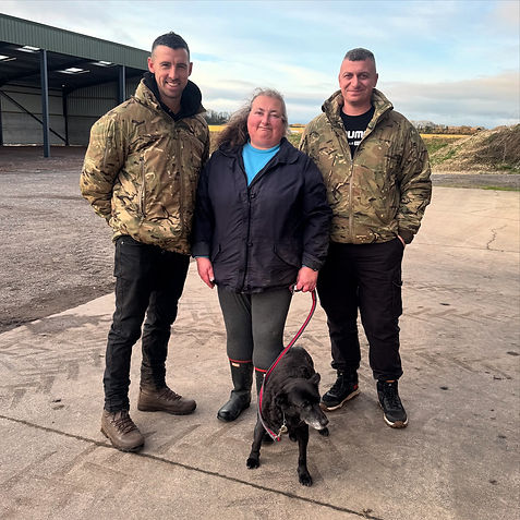 lost dog found Dorset