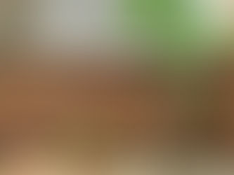 目隠しフェンスはアーバンフェンスがおすすめ