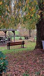 image_01.jpg