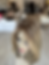 Thumbnail: TP35177/79: 9X10 16" DIMENSIONAL CARAMEL BLONDE