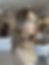 Thumbnail: TP29947-48/50/53: LIGHT LEXIE 6 ROOT 8X8 16"