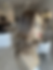 Thumbnail: TP29947-48/50/53: LIGHT LEXIE 6 ROOT 8X8 16"