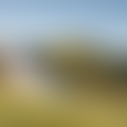 Training Takeaways: Running Logan Peak Marathon and Using It to Build 100-Mile Fitness