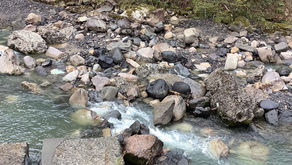 4月15日(水)    打波川　イワナ放流