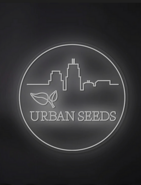 Screenshot_20241113_184428_Samsung Inter