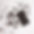72 PX-3.jpg