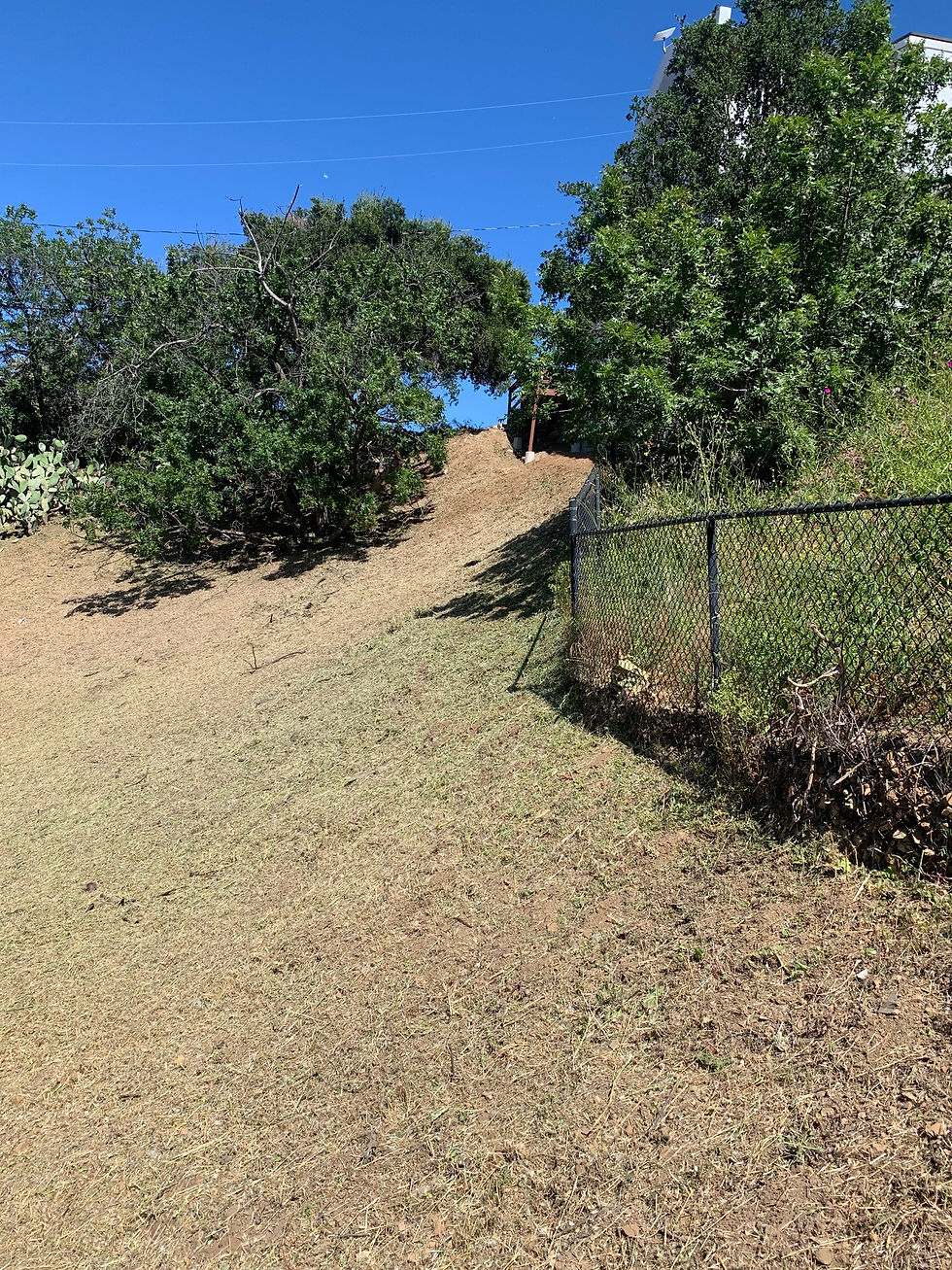 Thumbnail: Land Clearing 