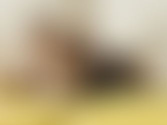 Σκύλος ή γάτα; Το αιώνιο δίλημμα