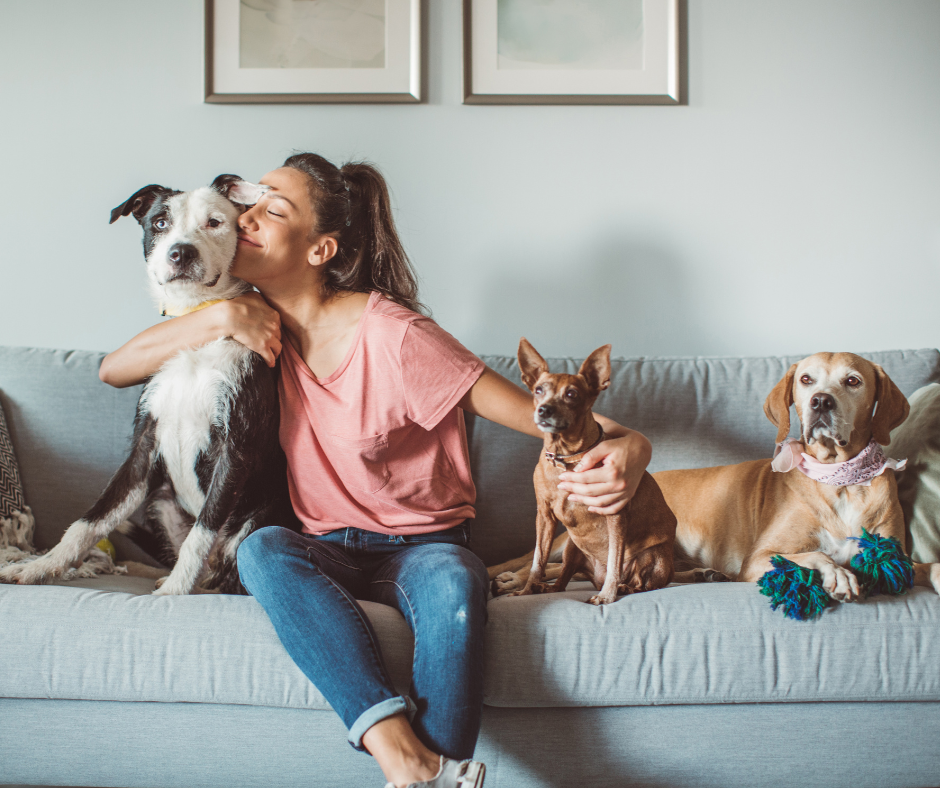 Πώς βοηθάει ένα κατοικίδιο στην ψυχική υγεία του ανθρώπου;