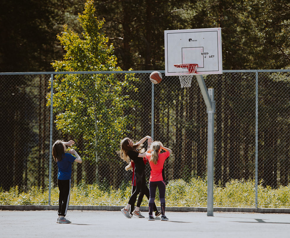 Aktiviteter i Rena idrettspark