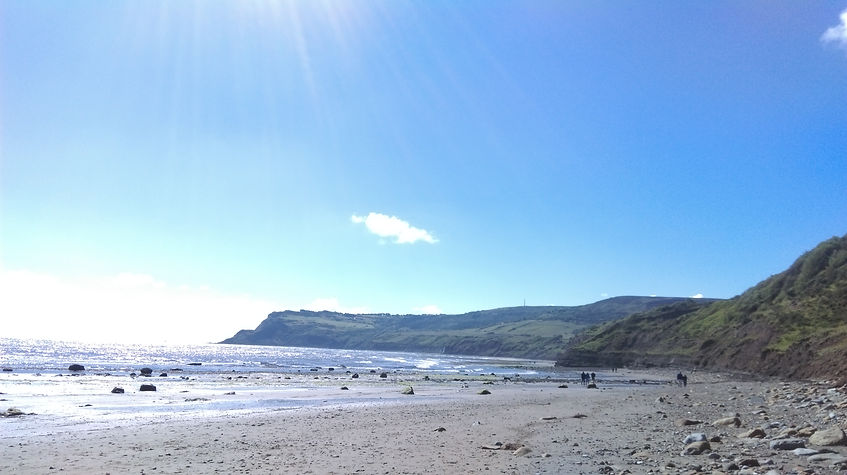 IMAG0417.jpg